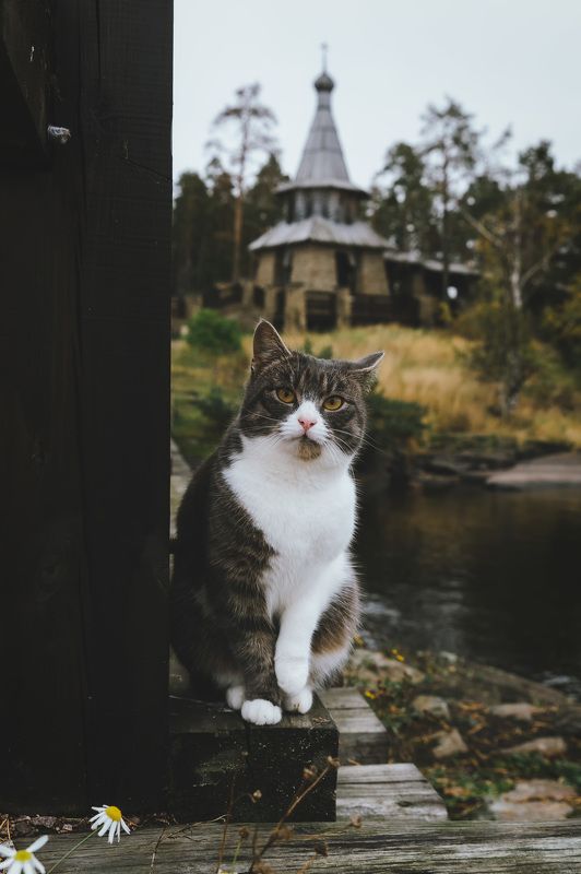 Прихожанин на Валааме. фото превью