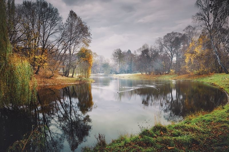Парковый пруд фото превью