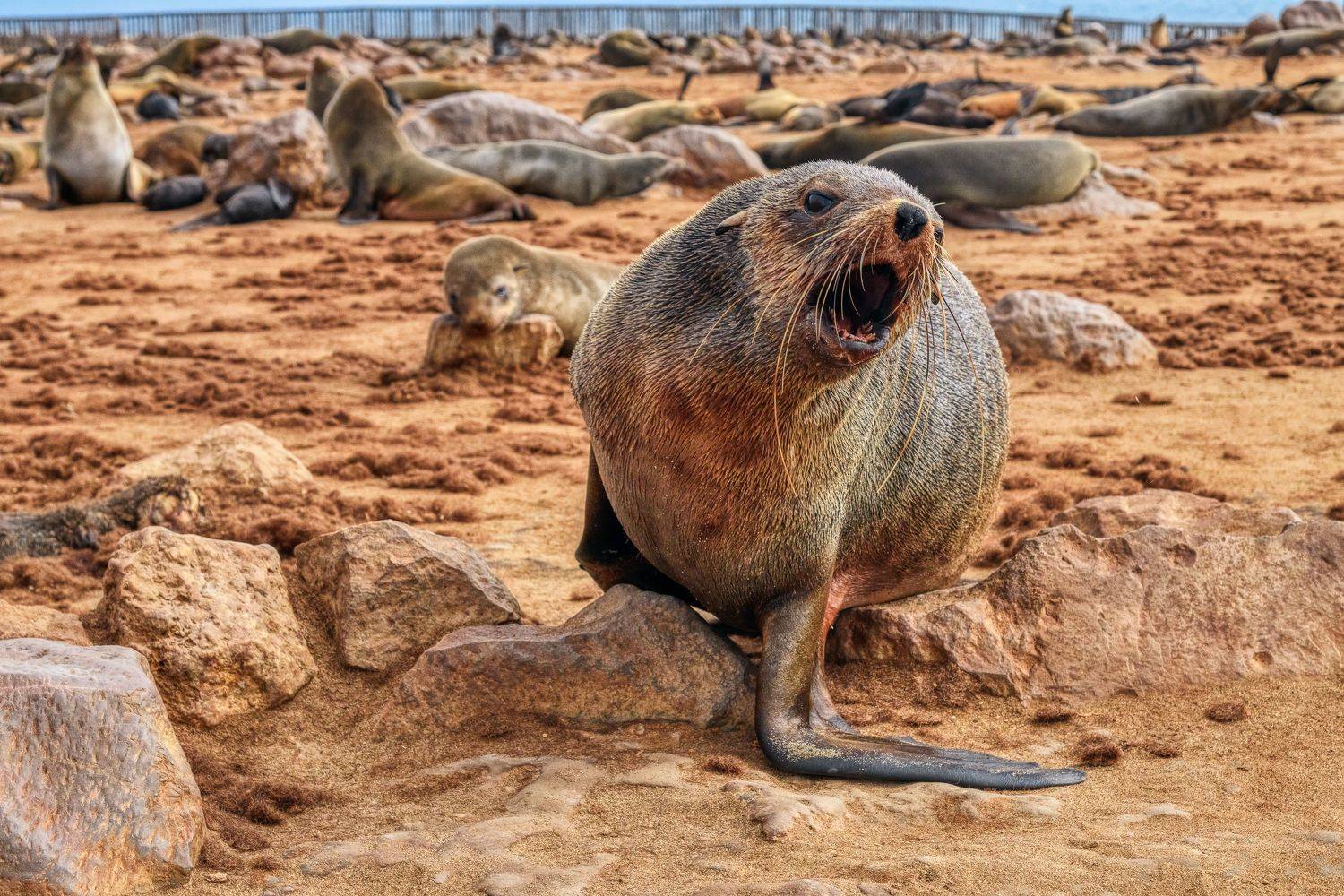 , Дмитрий Ильин