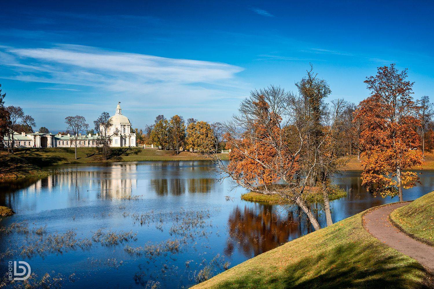 , Дмитрий Бакулин