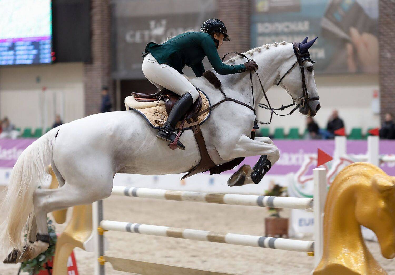 конкур,спорт,соревнования, competition, sport, horses, emotional, Yulia Stukalova