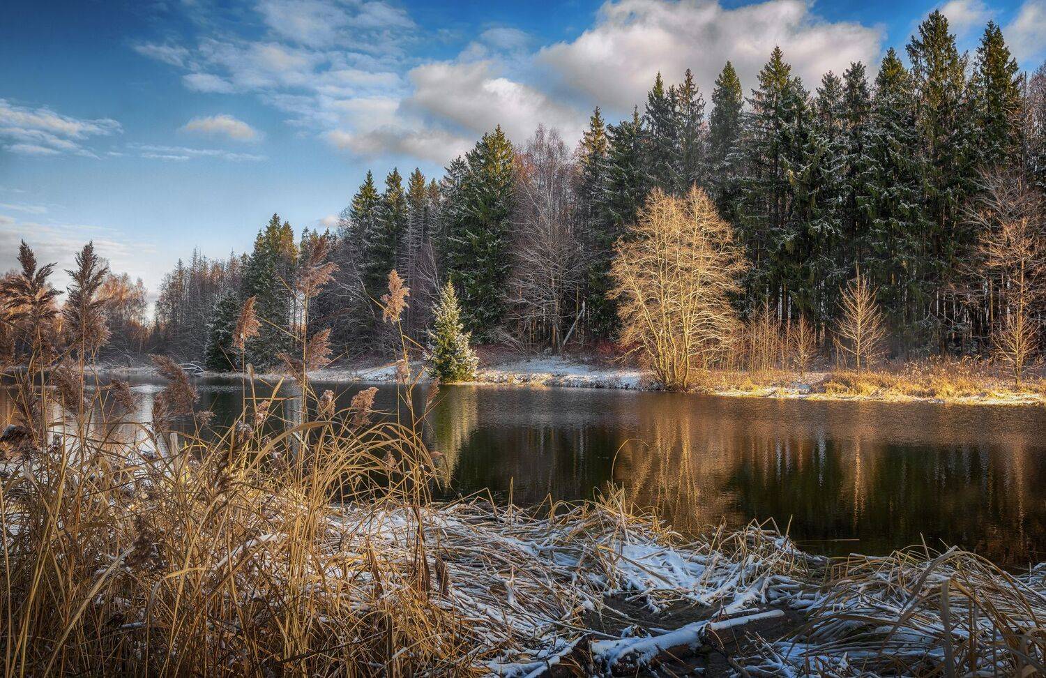река, снег, вода, лес, Сергей Аникин