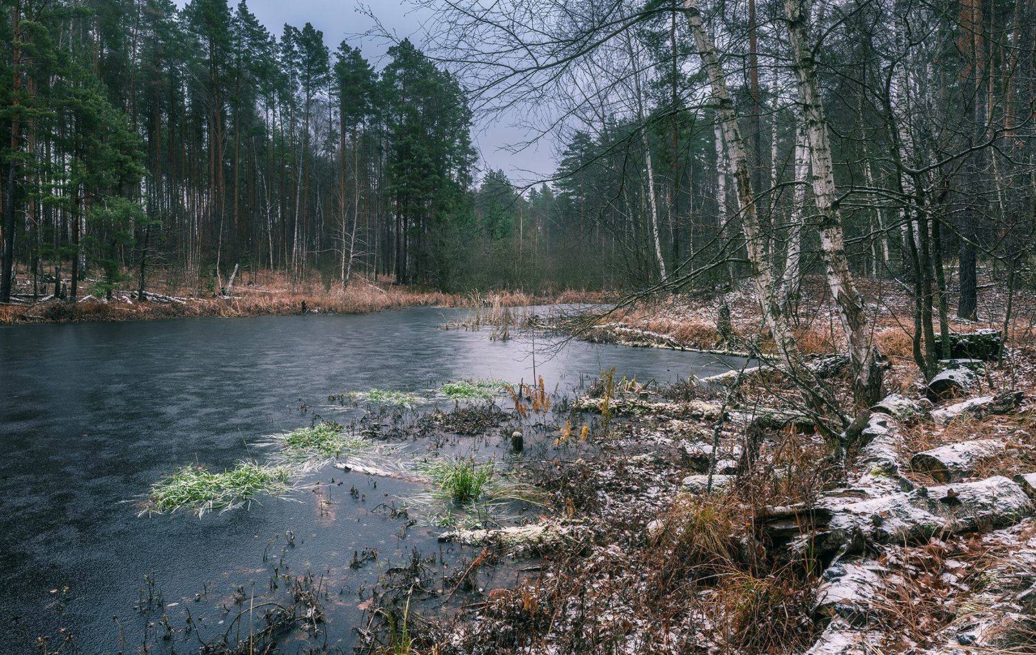 , Игорь Кляхин