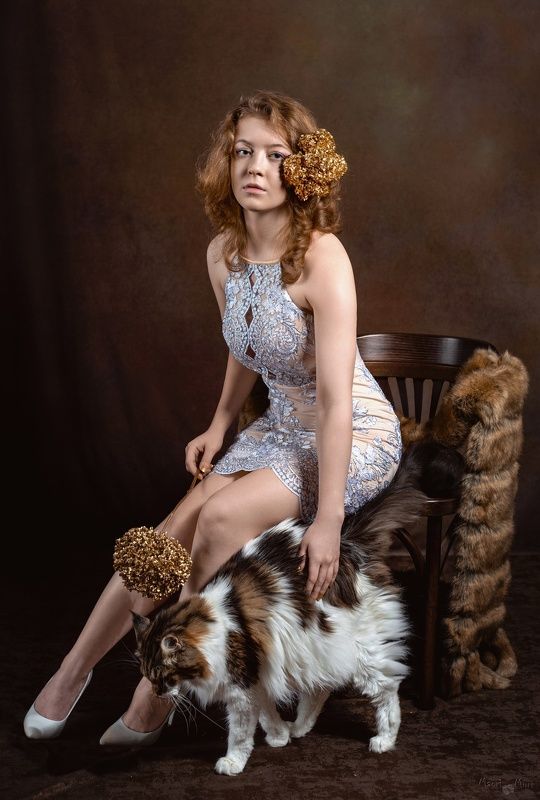 портрет, кот, мейн кун, портрет с котом Анна и Шаня фото превью