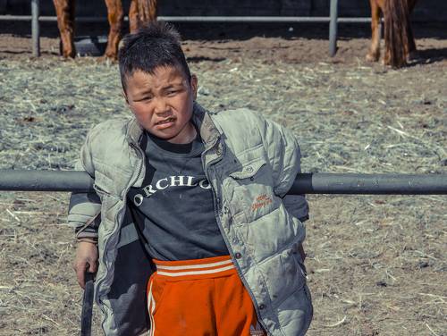 Horse Boy