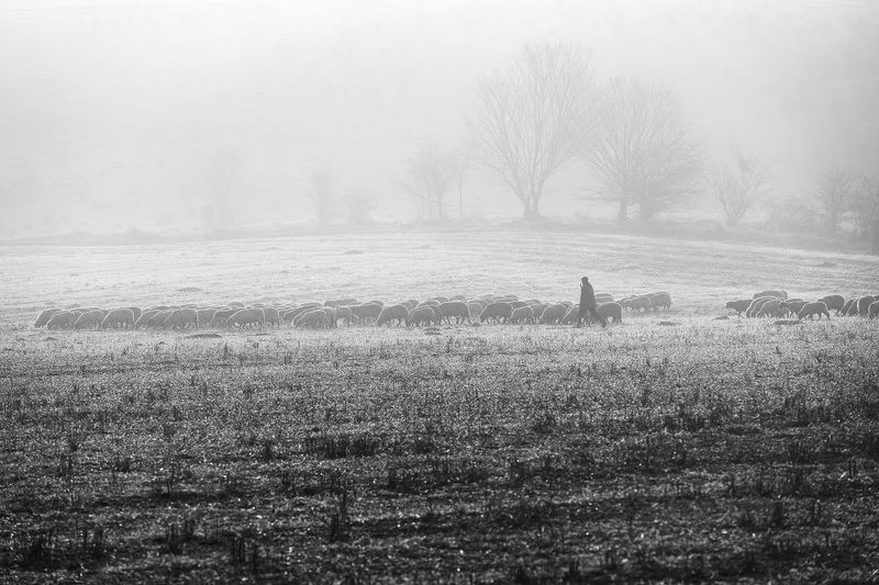 2022 фото превью
