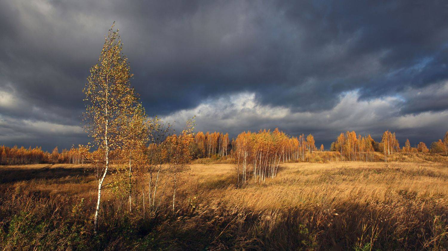осень , поле , тучи, Александр Свистков