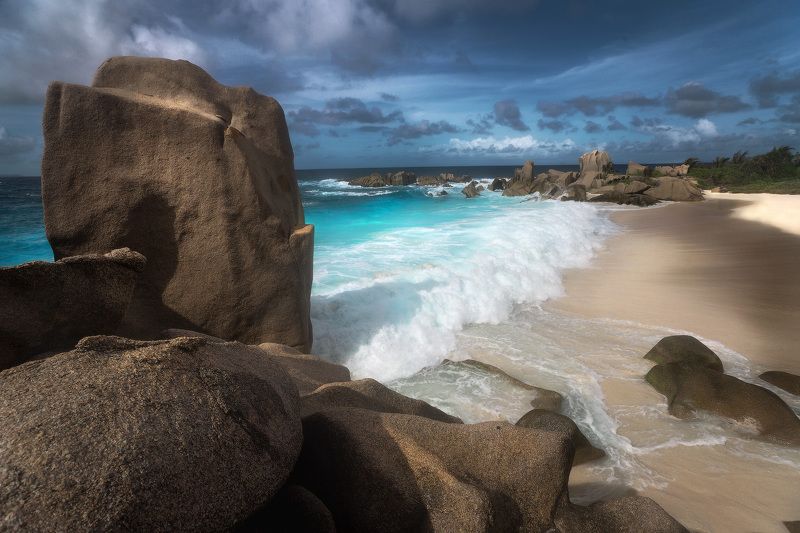 Marron фото превью