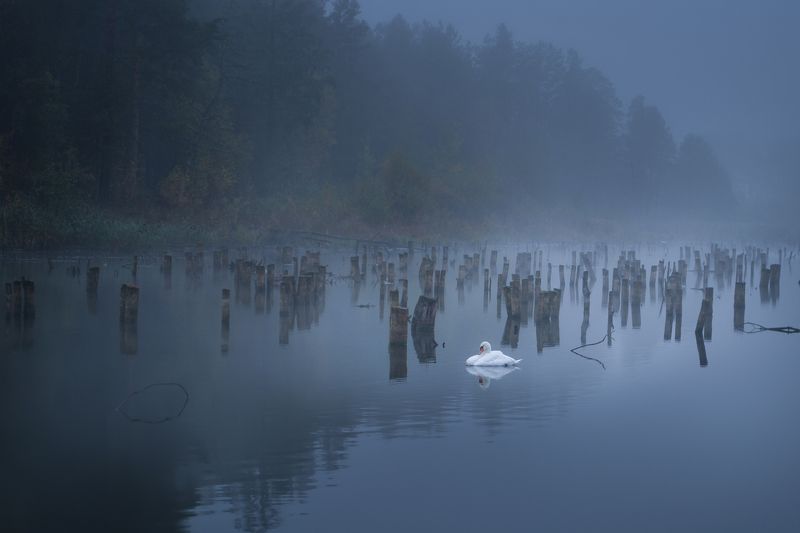 ******** фото превью