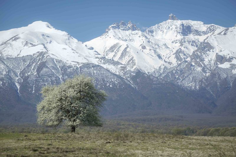 Весна в Дигории фото превью