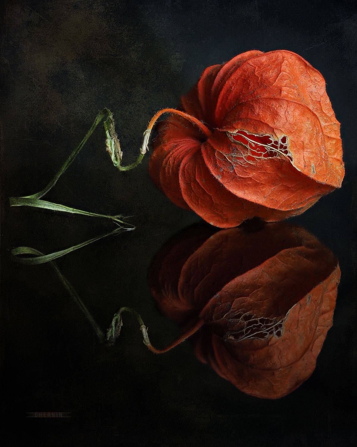 , Дмитрий Чернин