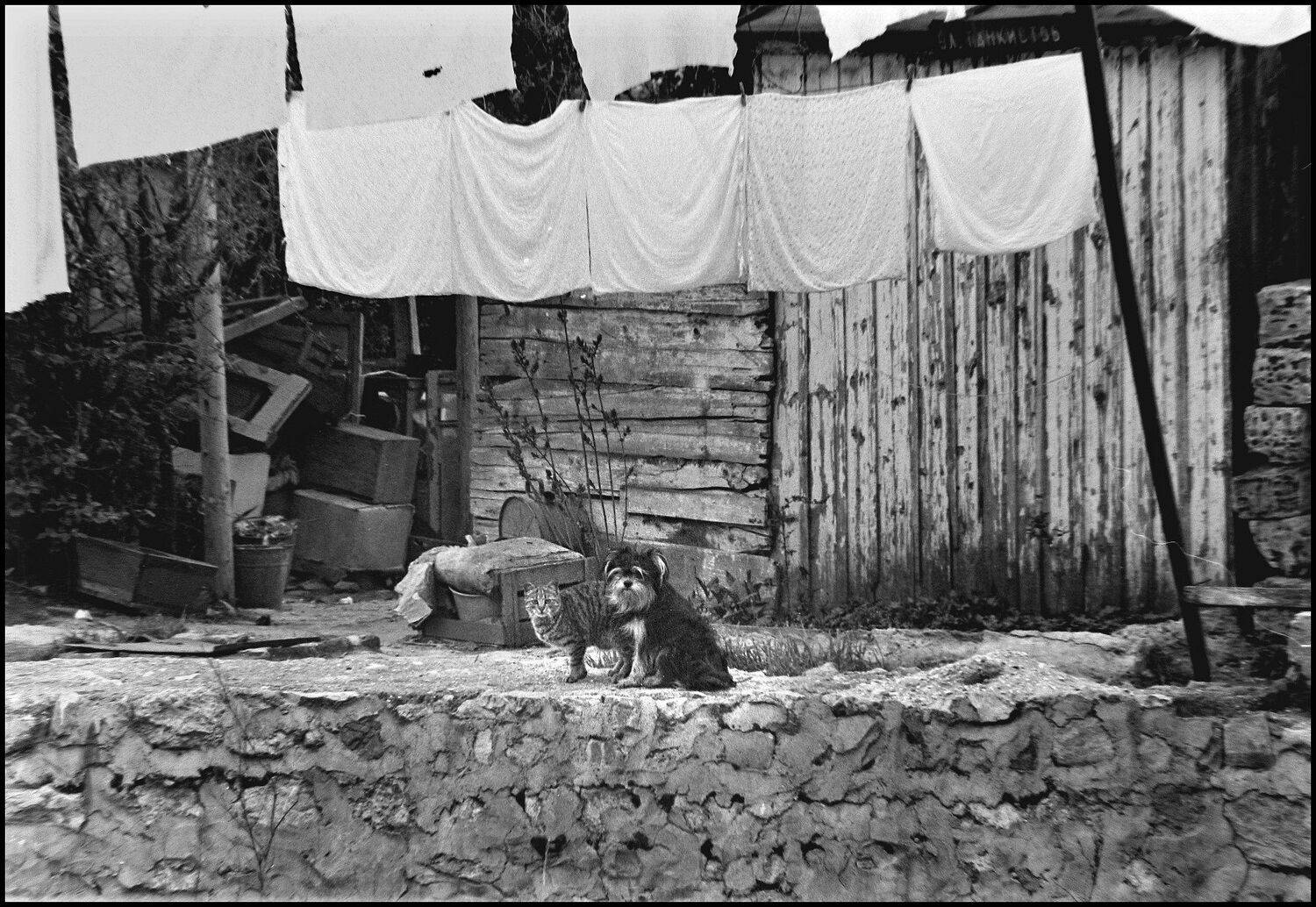 , Меднов Влад