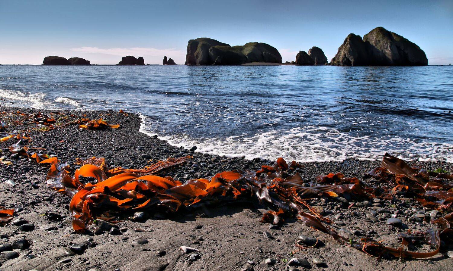 , Чекалов Валерий