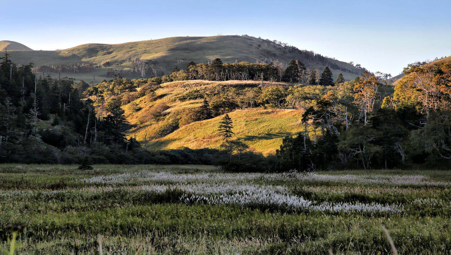 , Чекалов Валерий