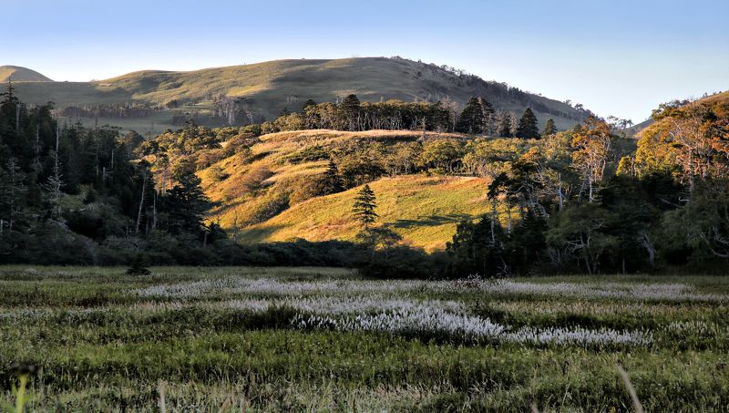 Утро красит нежным светом... фото превью