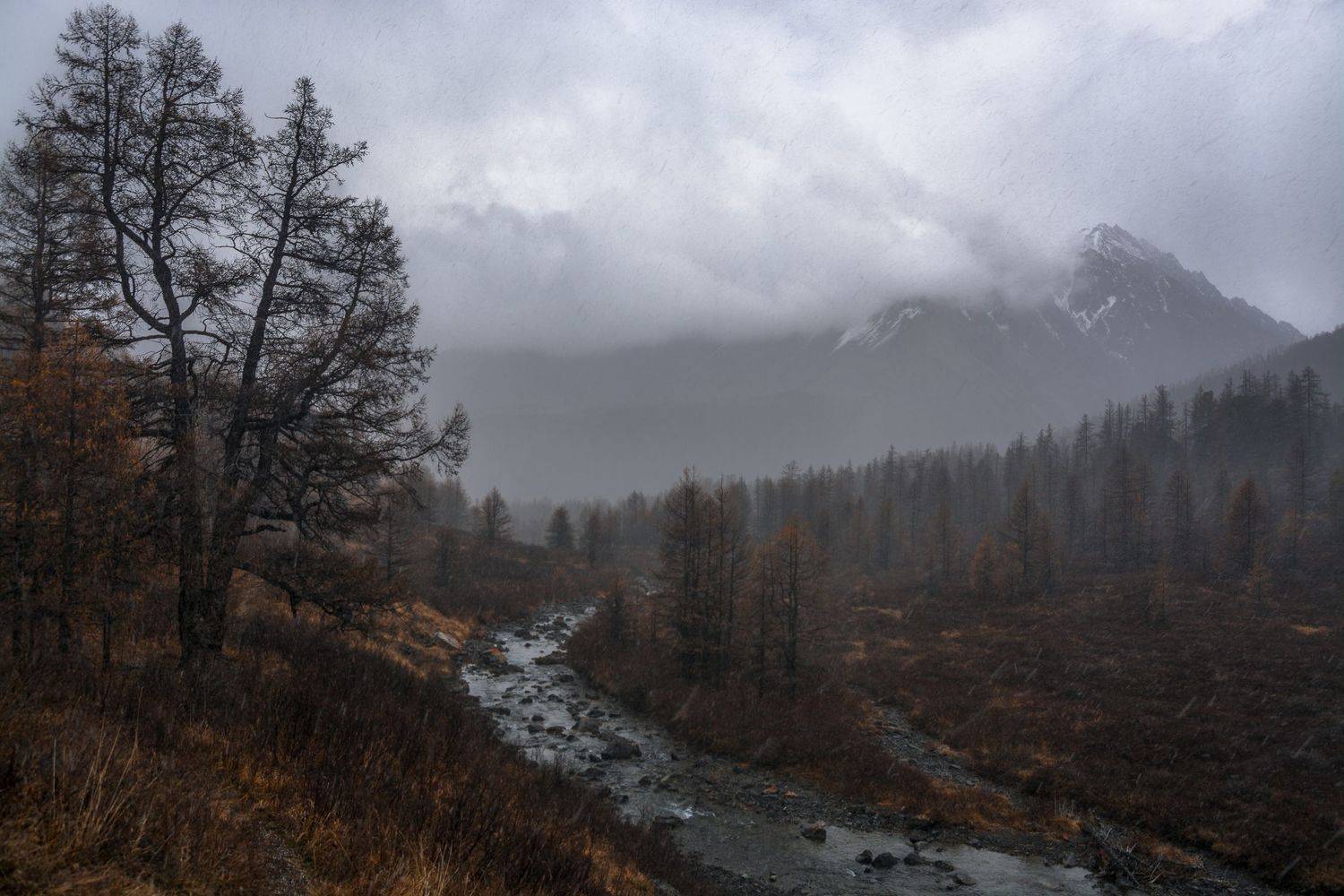 россия, горный алтай,осень,снег, Андрей Поляков