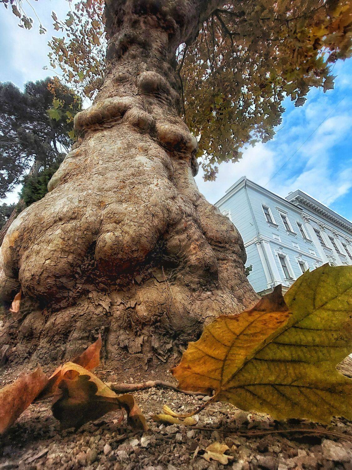 , Павел Сагайдак
