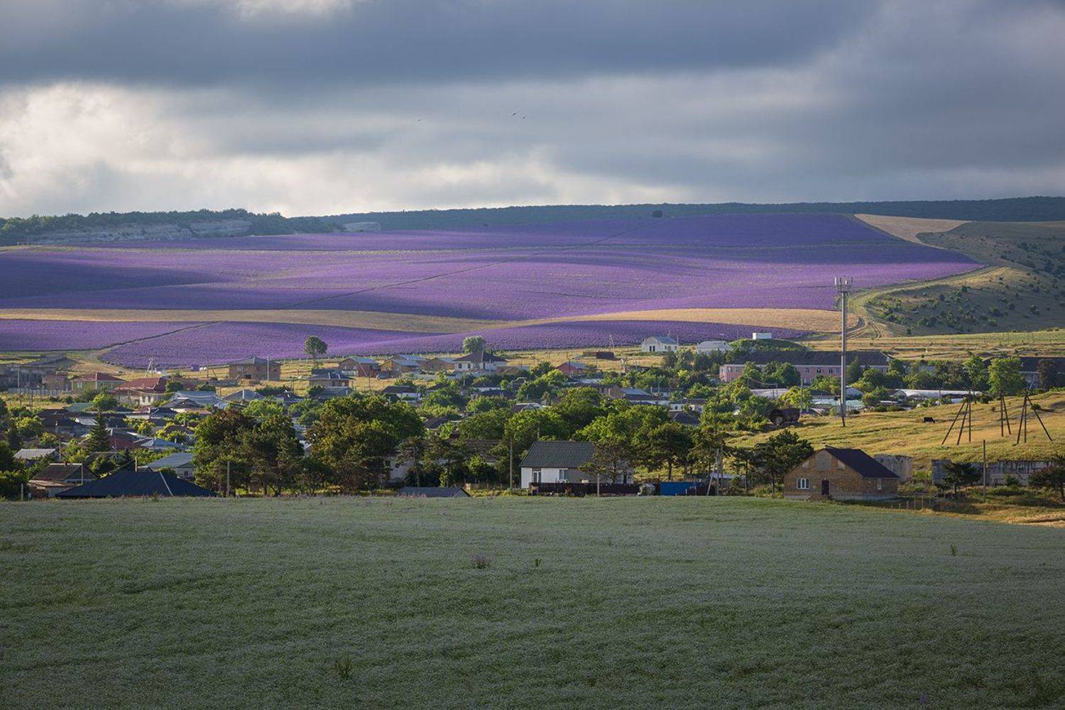 крым, лаванда, татьяновка, лето, пейзаж, небо, , Сергей Шульга