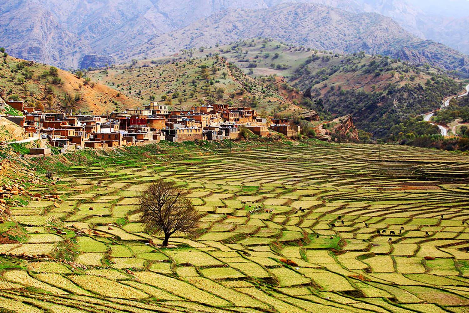 , mehdi karimi souderjani
