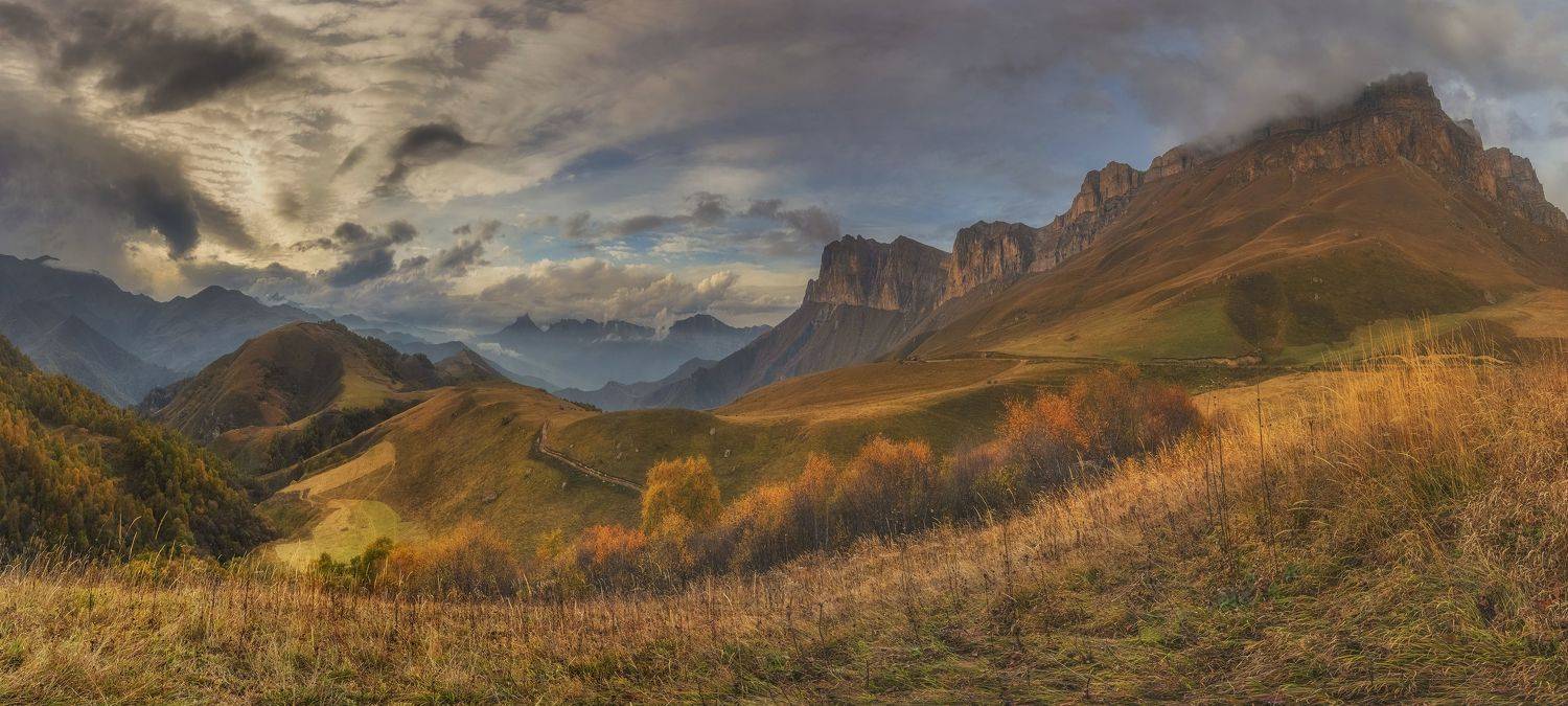 , ПУЗЕНКО ДМИТРИЙ