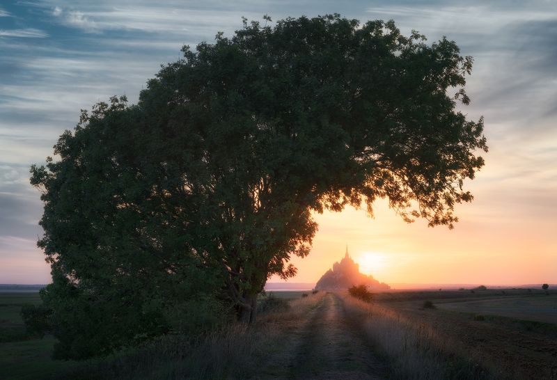 закат, рассвет, вечер, утро, восход, замок, крепость, солнце, дерево, тропа, франция, нормандия, мон-сен-мишель, мон сен мишель, mont-saint-michel, mont saint michel, france, sunset, sunrise, sun, morning, island, fortress, abbey, tree, mont saint-michel Остров-крепость Мон-Сен-Мишель / Mont-Saint-Michel фото превью