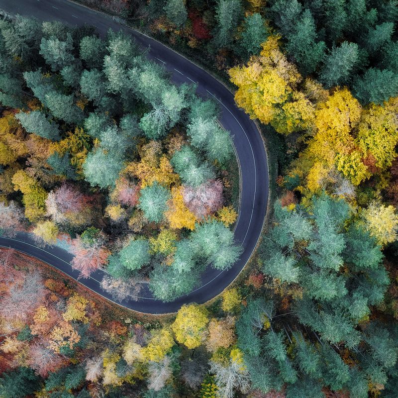 Color curve фото превью