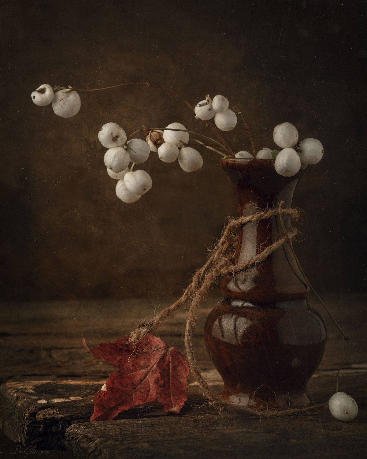 , Дмитрий Чернин