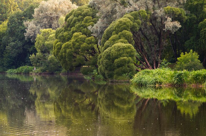 Уголок отдыха и творческого вдохновения фото превью