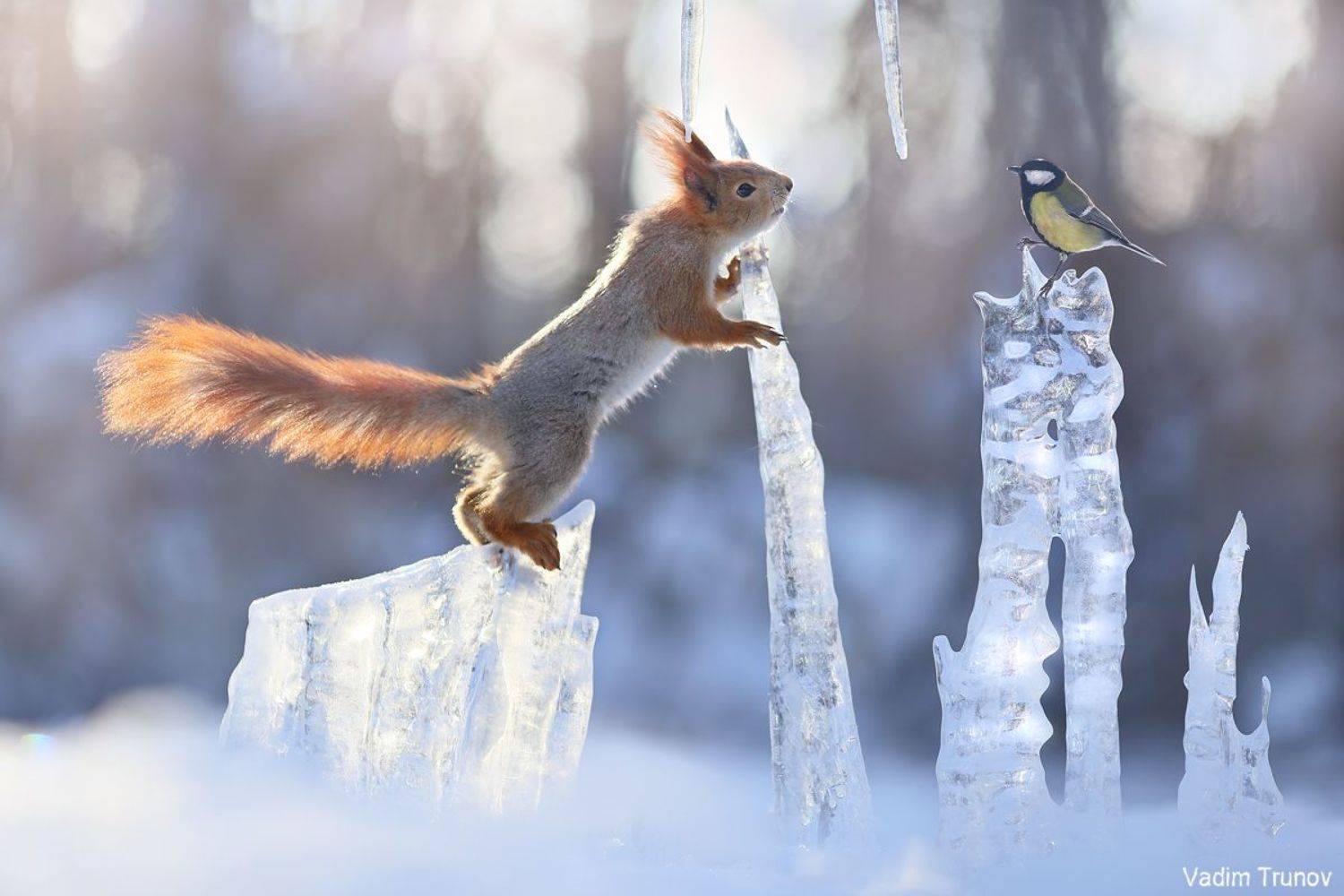 , Вадим Трунов