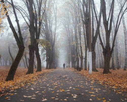 Изгибы Кубанской осени.
