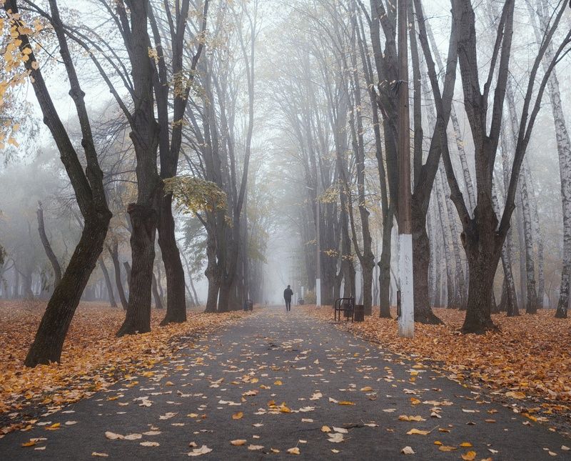 Изгибы Кубанской осени. фото превью