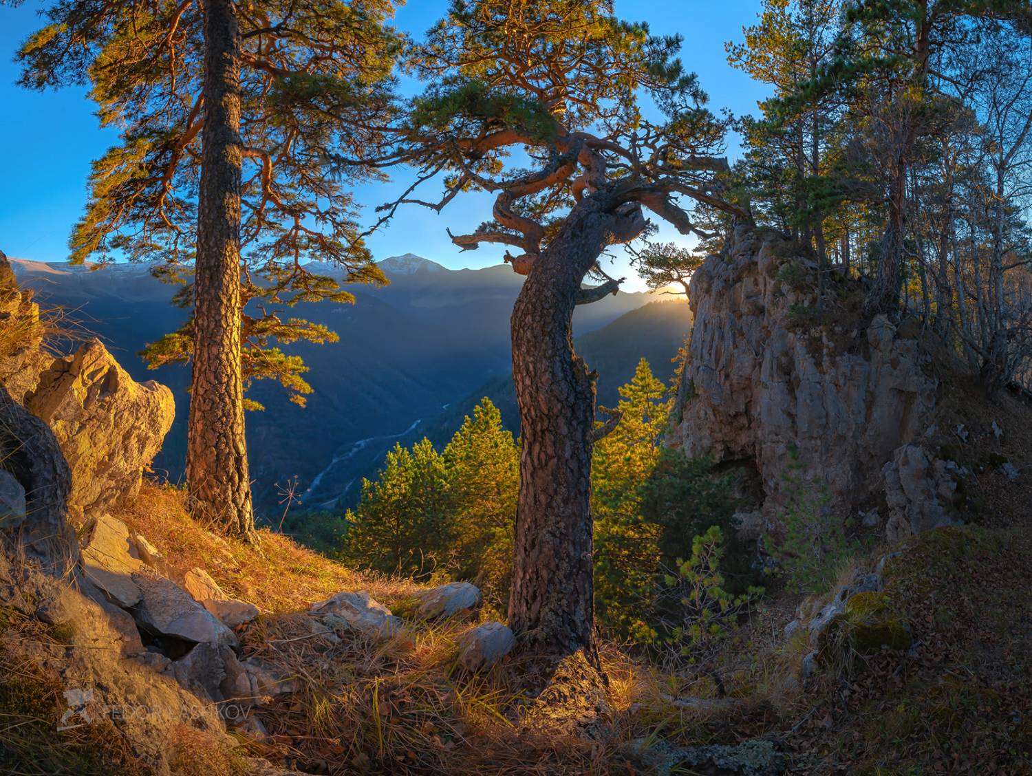северный кавказ, горы, гора, вершина, хребет, небо, краски, синий, оранжевый, осень, закат, освещение, сосна, дерево, скалы, ствол, архыз,, Лашков Фёдор