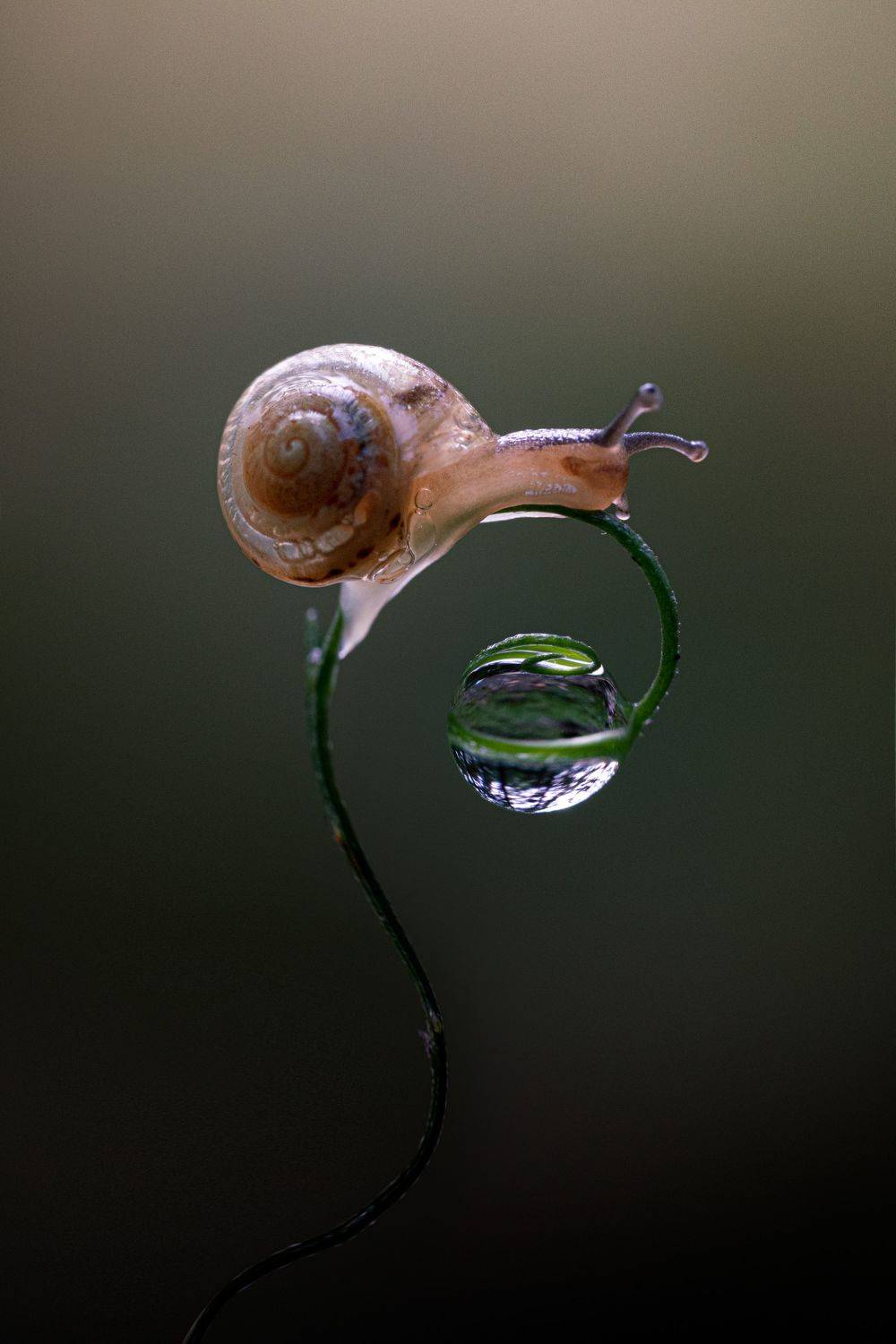 , Татьяна Гореславец