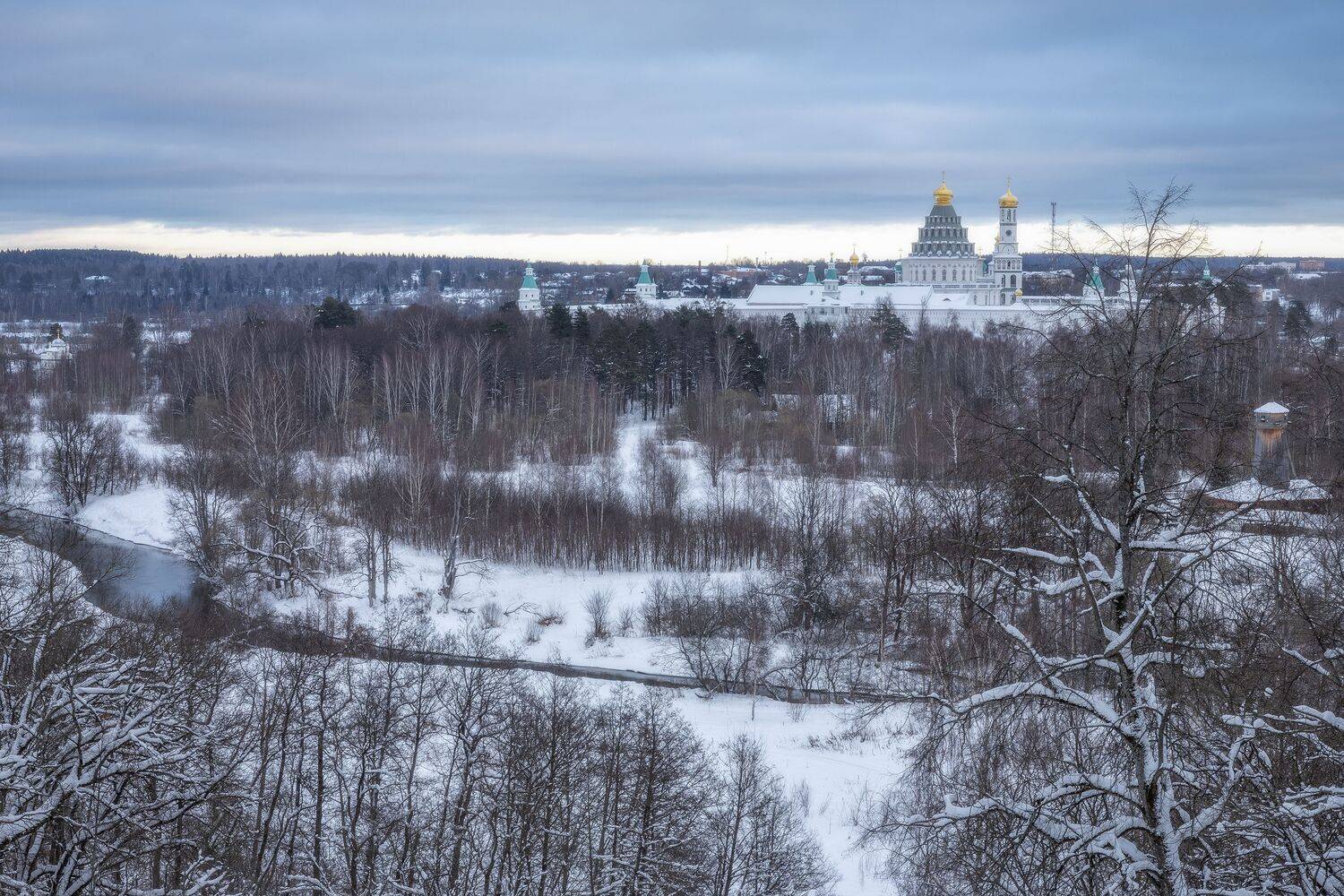 Истра, Гусева Елена