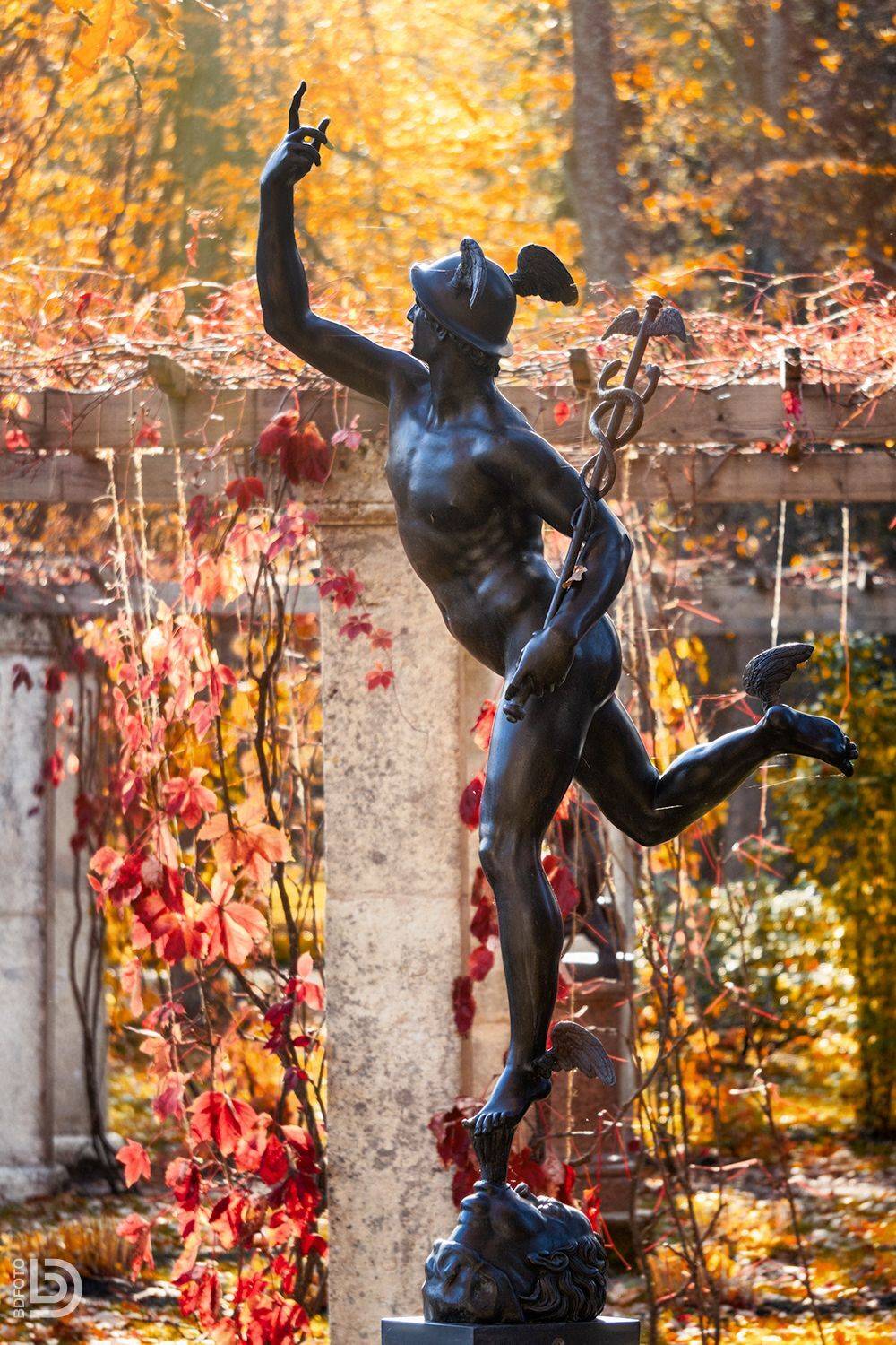 ораниенбаум, Дмитрий Бакулин