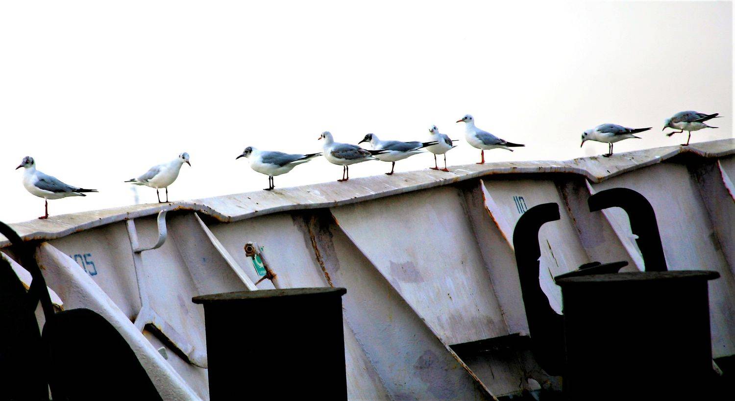 , ИГОРЬ МЕЛЬНИКОВ