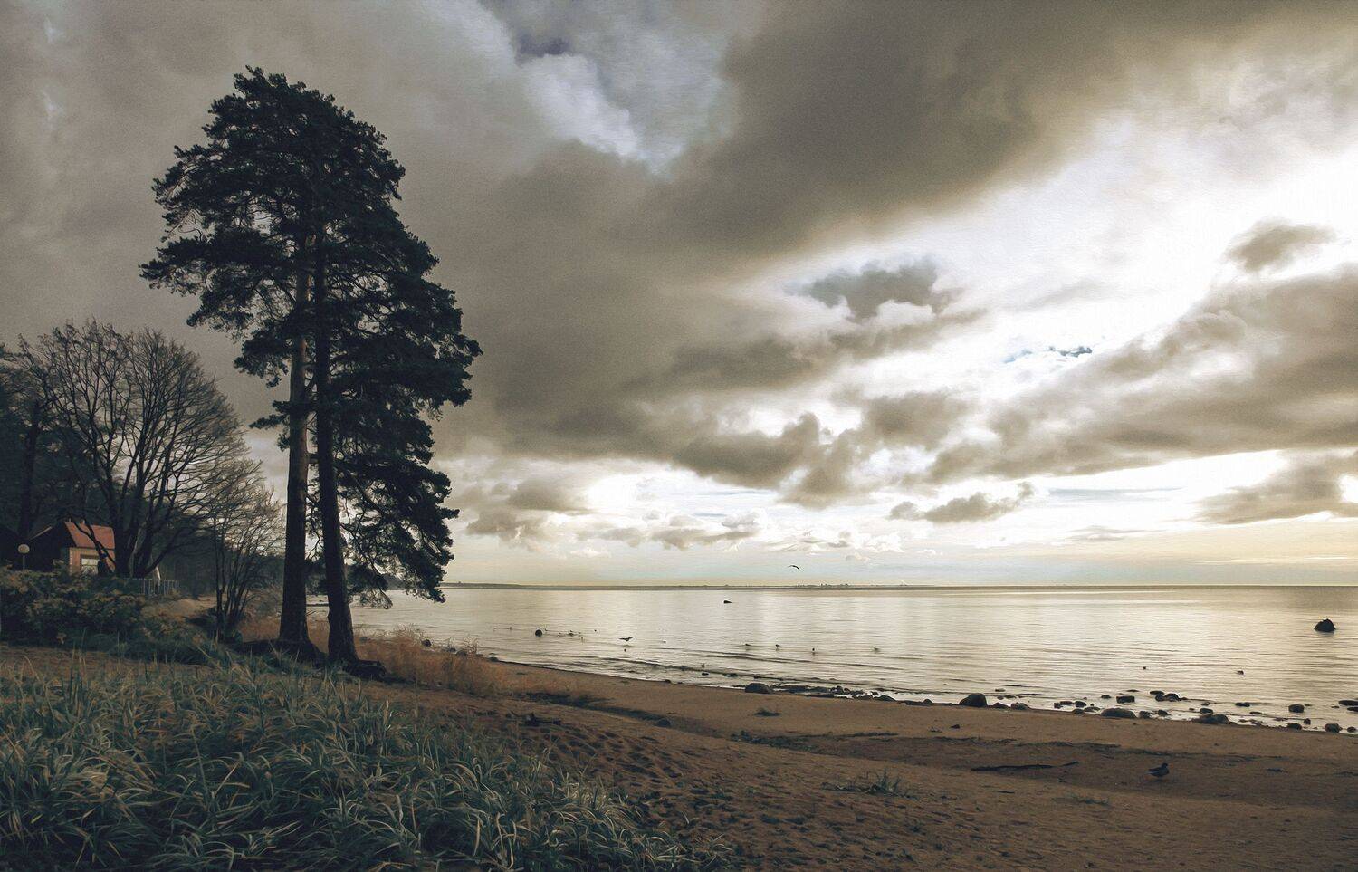 , Рут Андрей