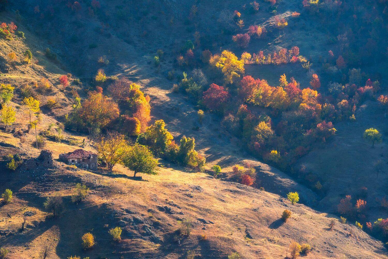 , Mariyana Atanasova - Lucero