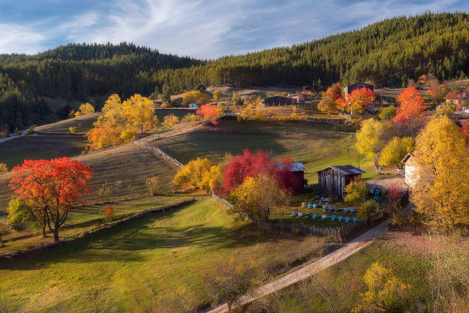 , Mariyana Atanasova - Lucero