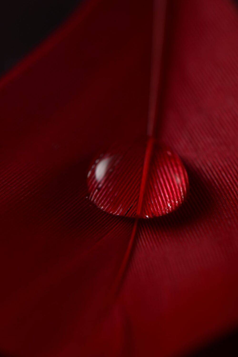 , Александра Елагина