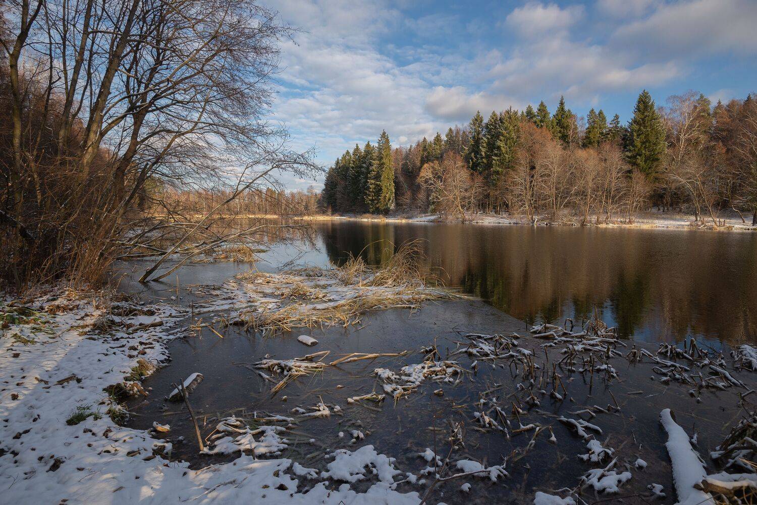 река, осень, снег, ноябрь, лес, Сергей Аникин