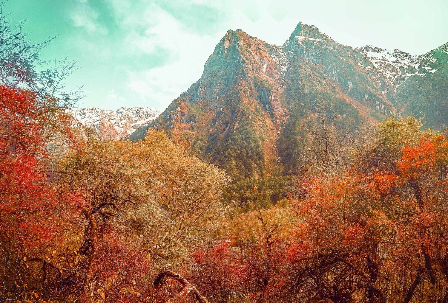 霜叶 嫣红, 吴 微雨墨烟鸿