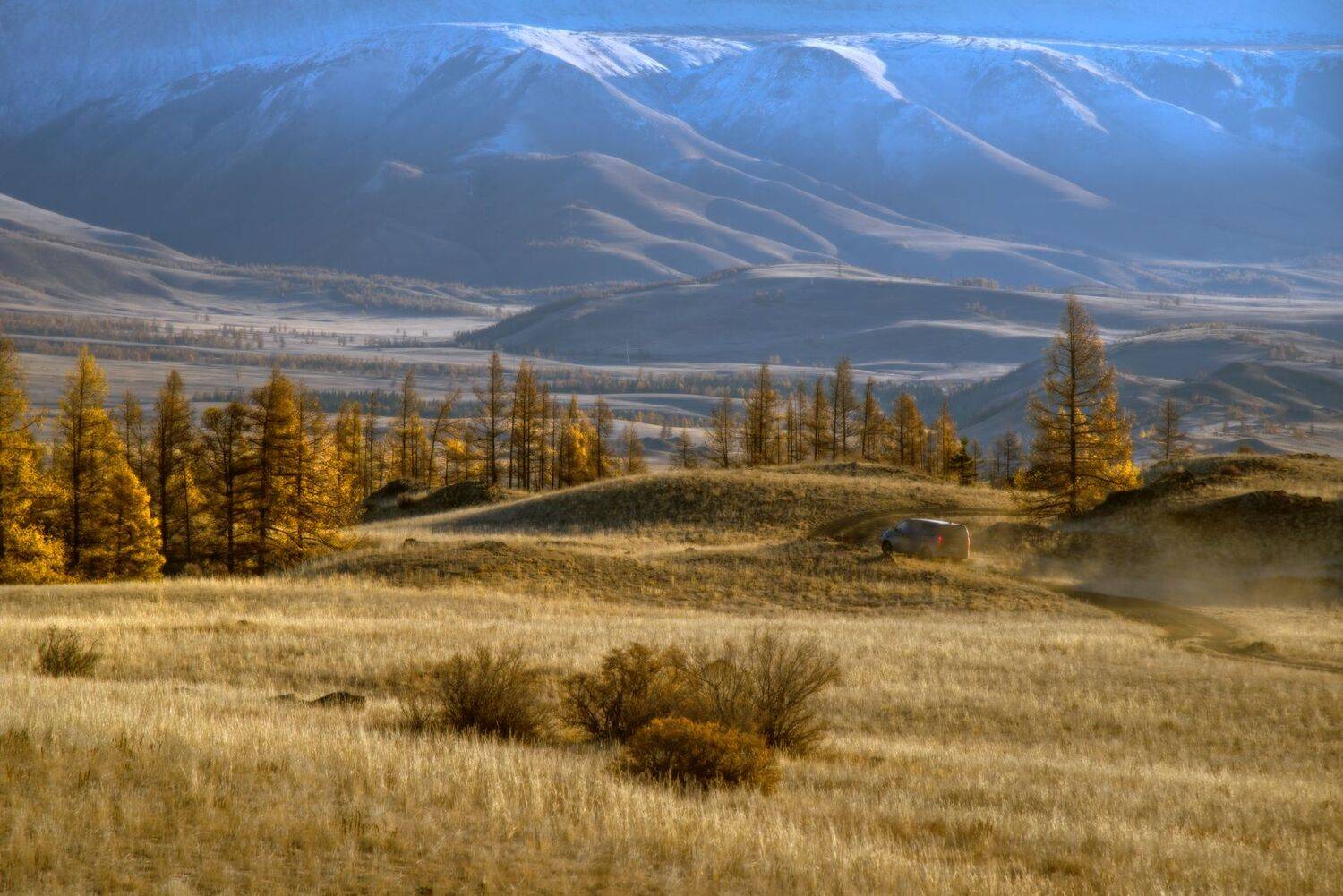 , Вадим Качанов