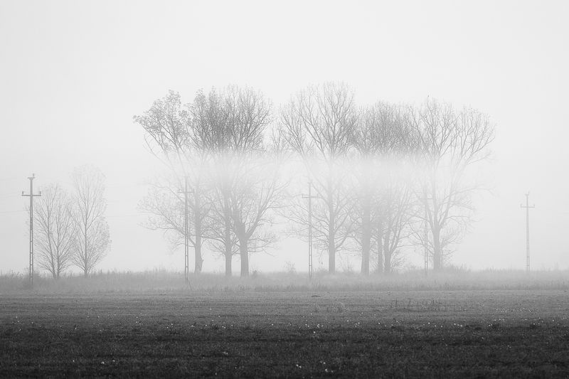 2022 фото превью