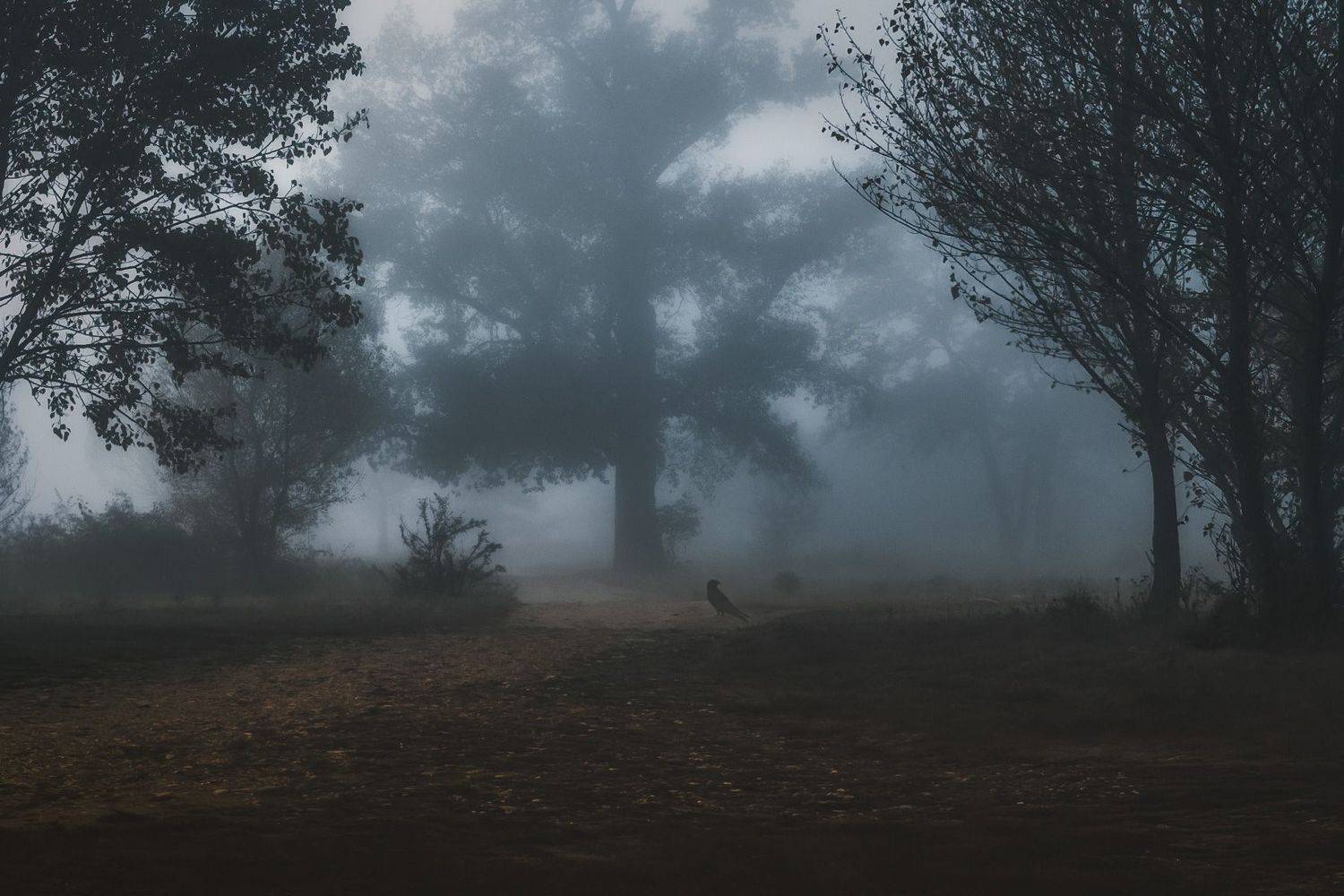 , Алиева Татьяна