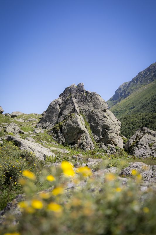Страж болота Чифандзар фото превью