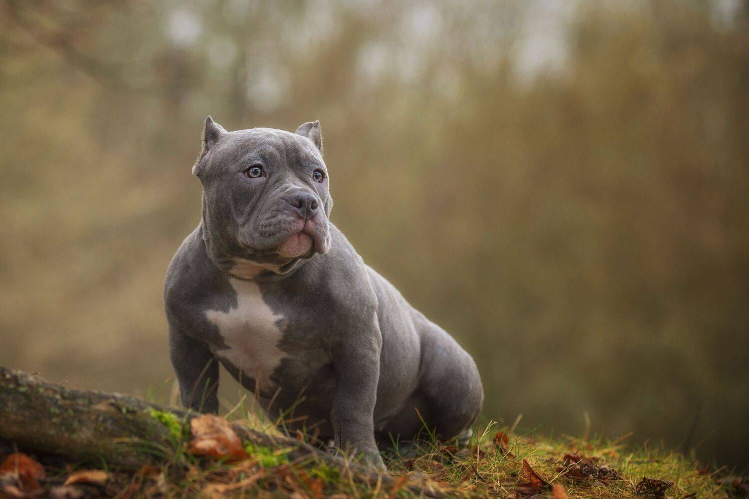 , Кулаков Юрий