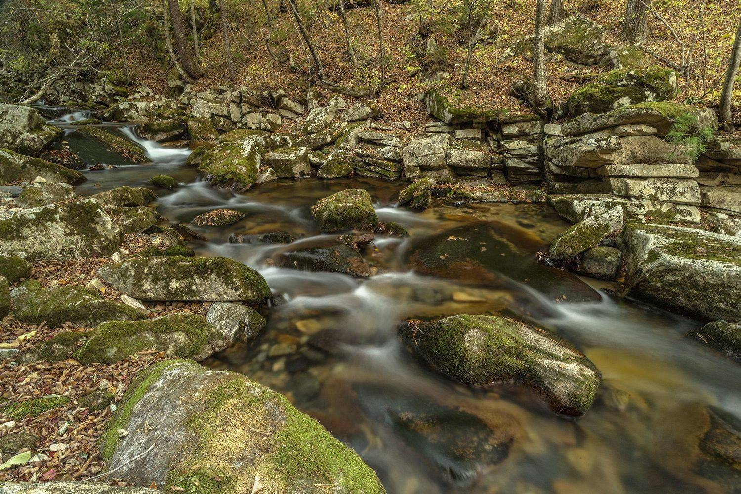 Ручей, осень, тайга, ALEKSANDR KUZNETSOV