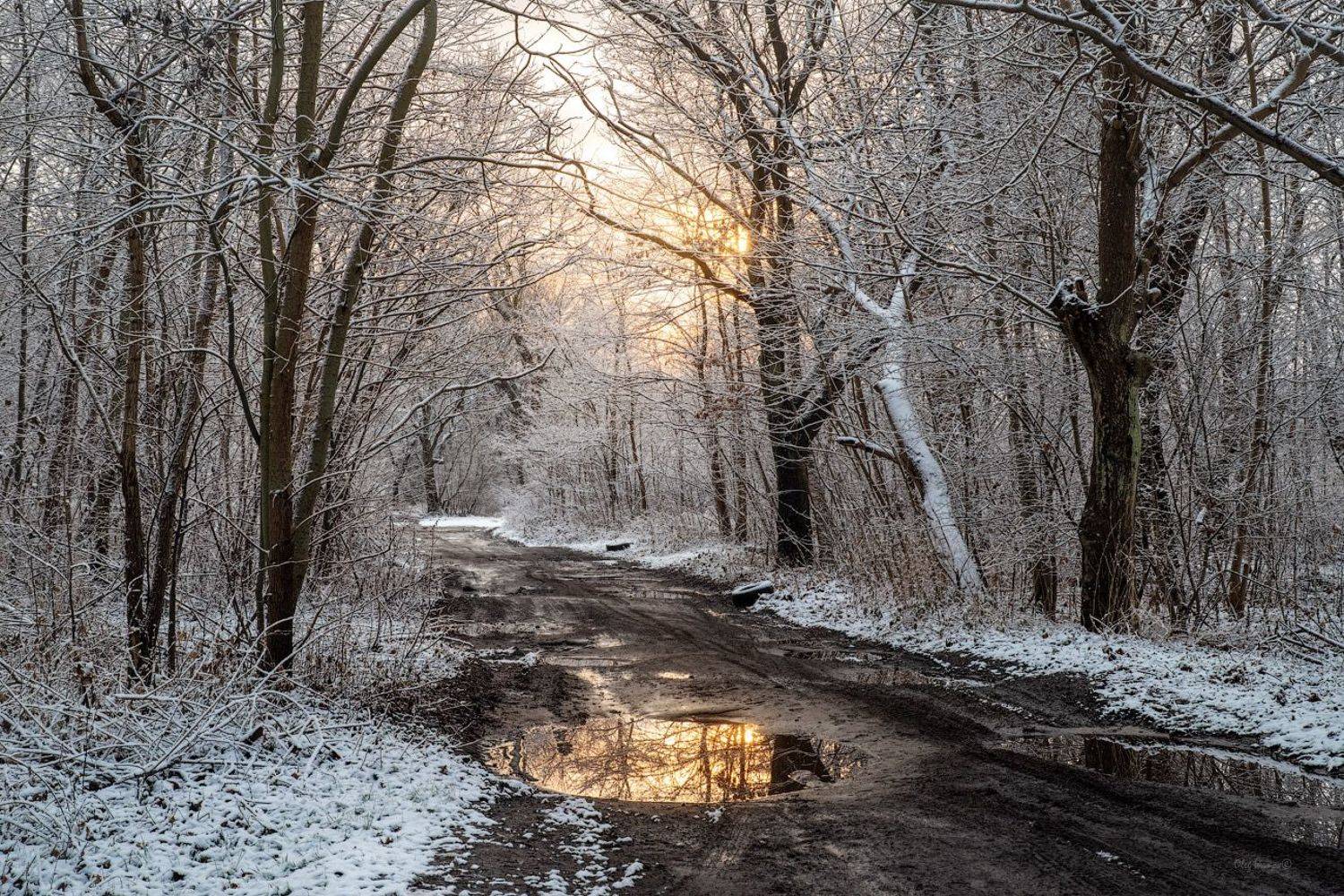 , Олег Иванов