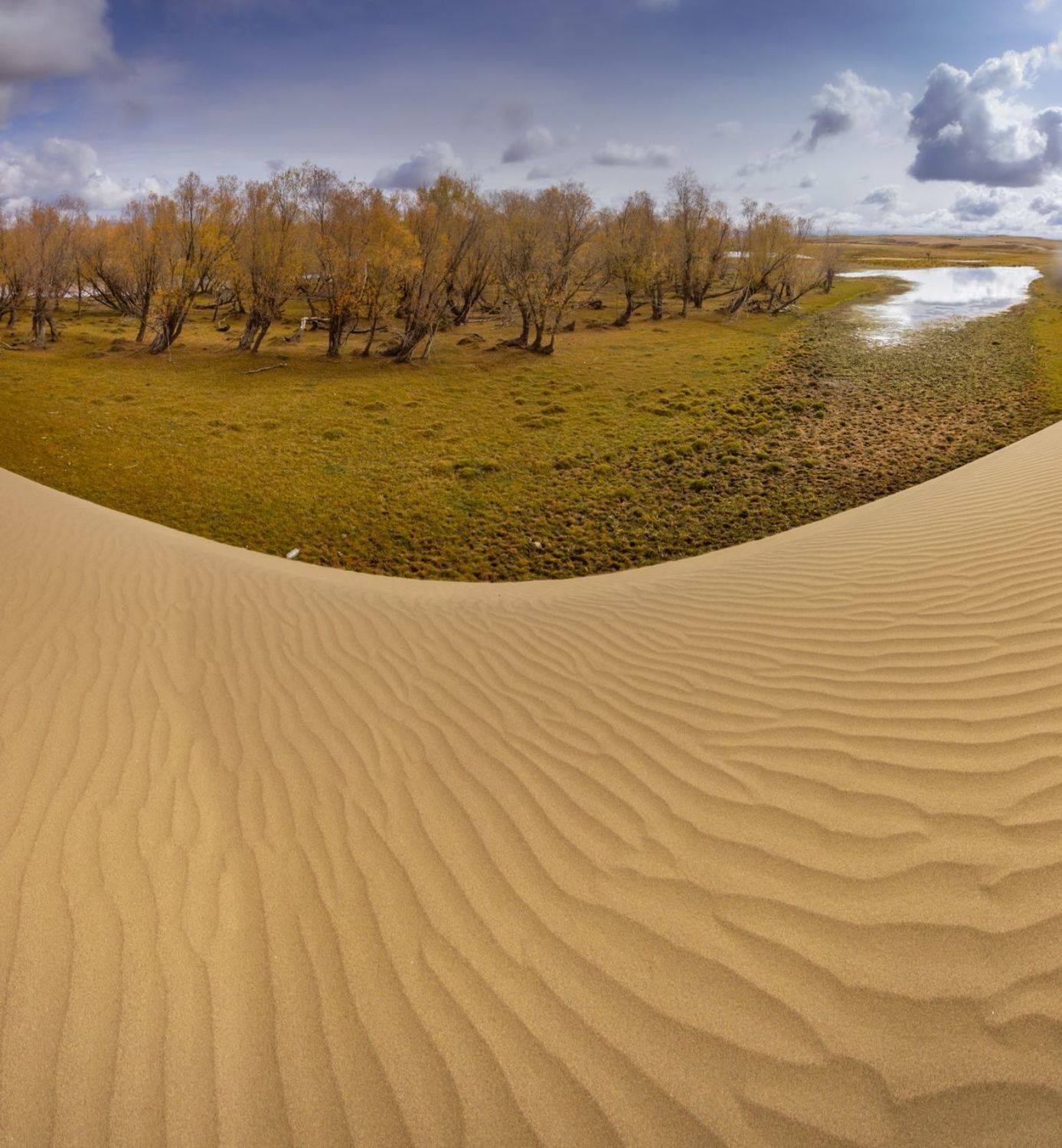 монголия, Трофимов Алексей